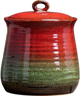 Ceramic Cookie & Treat Jar (Red & Green) for Kitchen Storage
