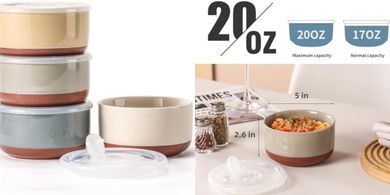 Microwave-safe porcelain soup bowls with lids (4-pack, 20 oz).
