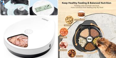 Smart Automatic Pet Feeder: Wet & Dry, 24-Hour Freshness
