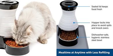 PetSafe Healthy Pet Gravity Feeder (Small, 2 lb capacity)
