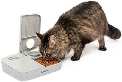 PetSafe Programmable Automatic Feeder (3-cup, tamper-resistant)
